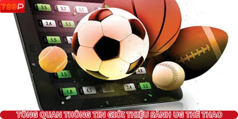 Tổng quan thông tin giới thiệu sảnh UG thể thao